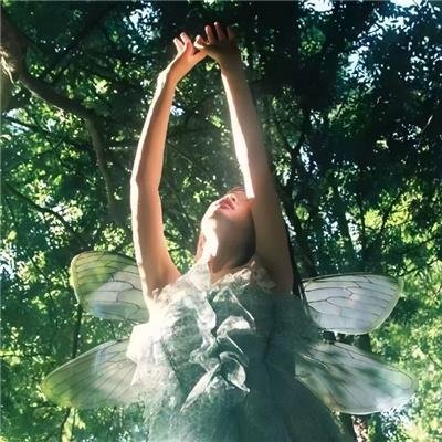 完美妻子的完美复仇计划
